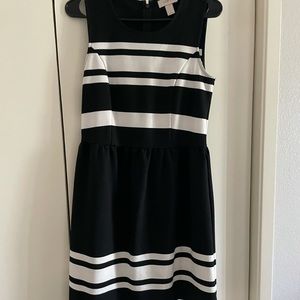 Loft Skater Dress